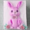 Hase rose Osterhase mit Blumen Himbeerenseife Geschenkidee