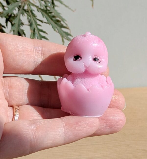 PXL_20251001_113110437-1 3 Lustige Hühner im Ei handgemachte Himbeerenseife