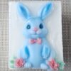 PXL_20260130_141010345-1 Osterhase mit Blumen Himbeerenseife Geschenkidee