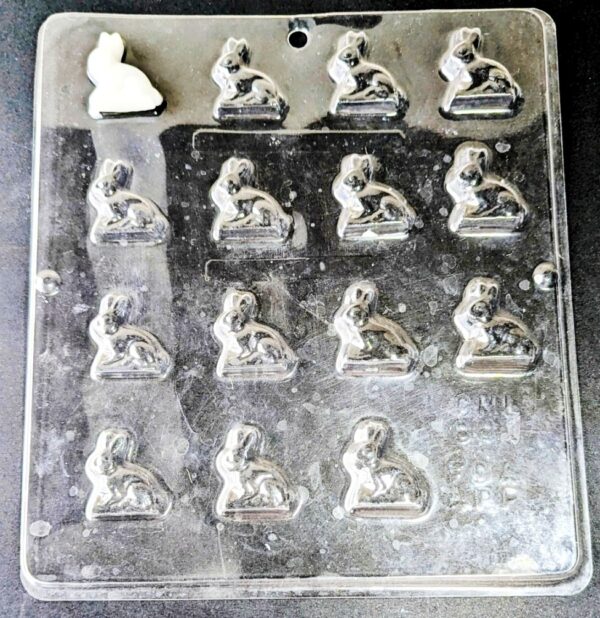 PXL_20260222_102928962~2 Plastikform Osterhase für Dessert