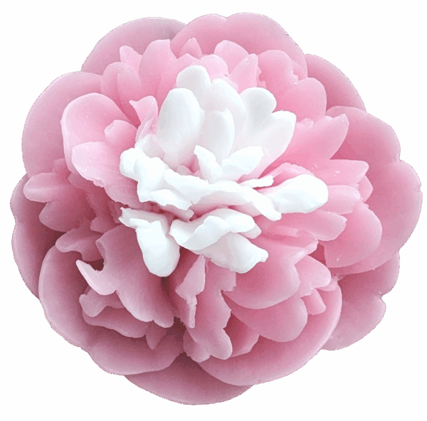 acetone-2026214-14450-882 Pfingstrose mit Blättern handgearbeitet Himbeerenseife