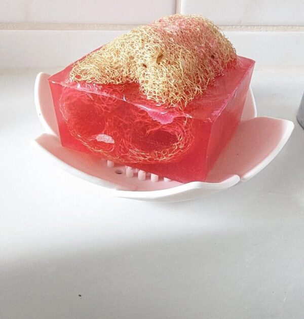 Handgemachte Himbeereseife mit Luffa , Vitamin E 150g